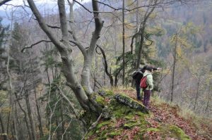 DUHOVI ZAKOJŠKE GRAPE