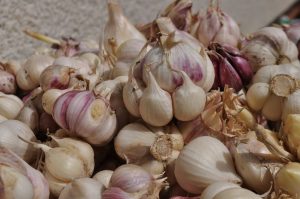 ČESEN – RASTLINSKI AMULET